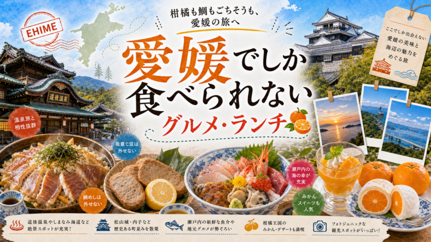 愛媛でしか食べられないグルメ・ランチ完全ガイド｜カテゴリ別に迷わず選ぶ