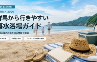 群馬から近隣県の海へ向かう夏のルートをイメージした抽象イラスト
