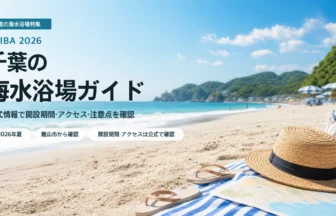 千葉の海水浴場ガイドをイメージした抽象的な夏の海岸風景