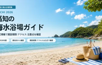 高知県内で海水浴場を選ぶ夏の抽象イメージ