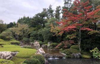 Temple garden at Myoshinji in Kyoto