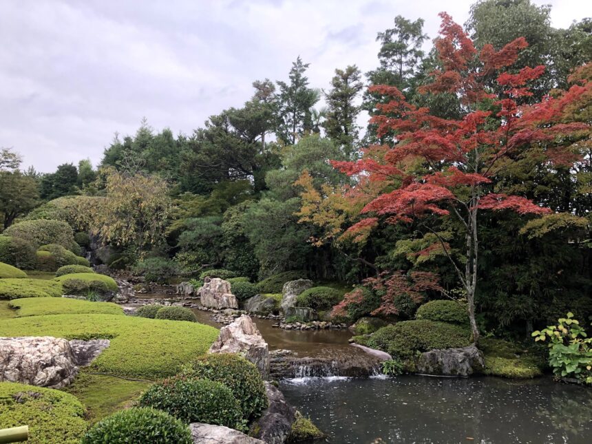 Temple garden at Myoshinji in Kyoto
