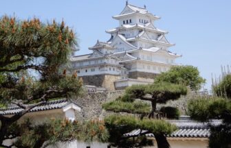 Himeji Castle exterior with white keep and pine trees