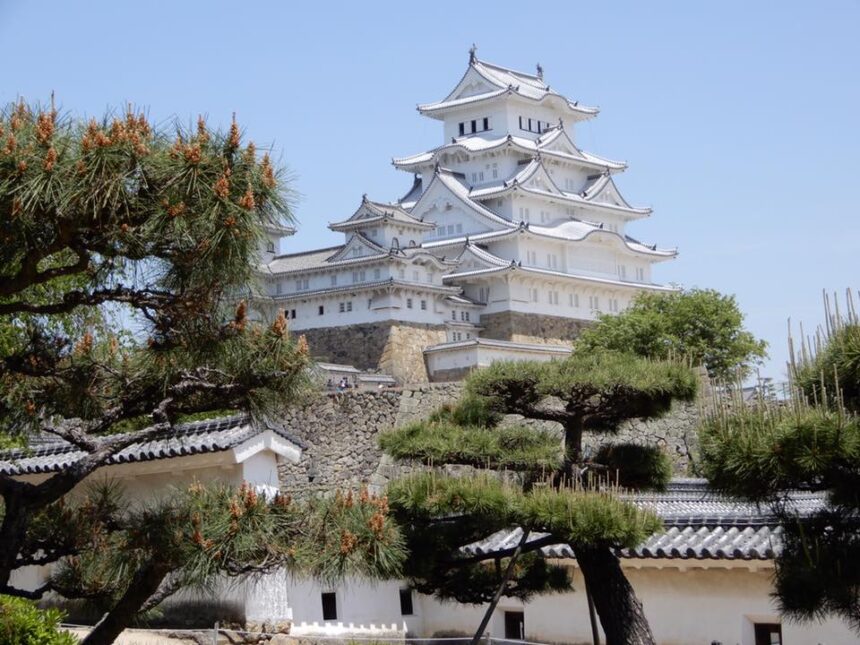 Himeji Castle exterior with white keep and pine trees