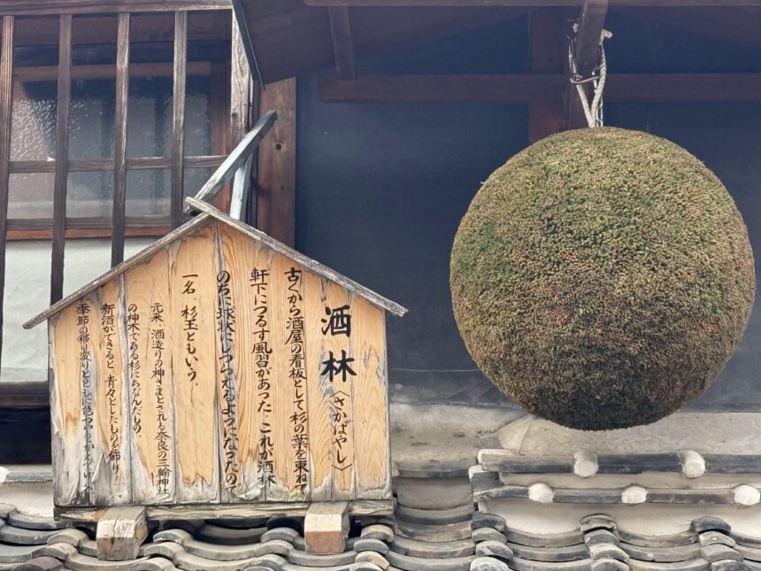 Sugidama cedar ball at a sake brewery in Kumamoto