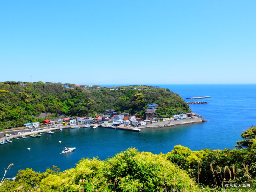 Habu Port and port town on Izu Oshima seen from above