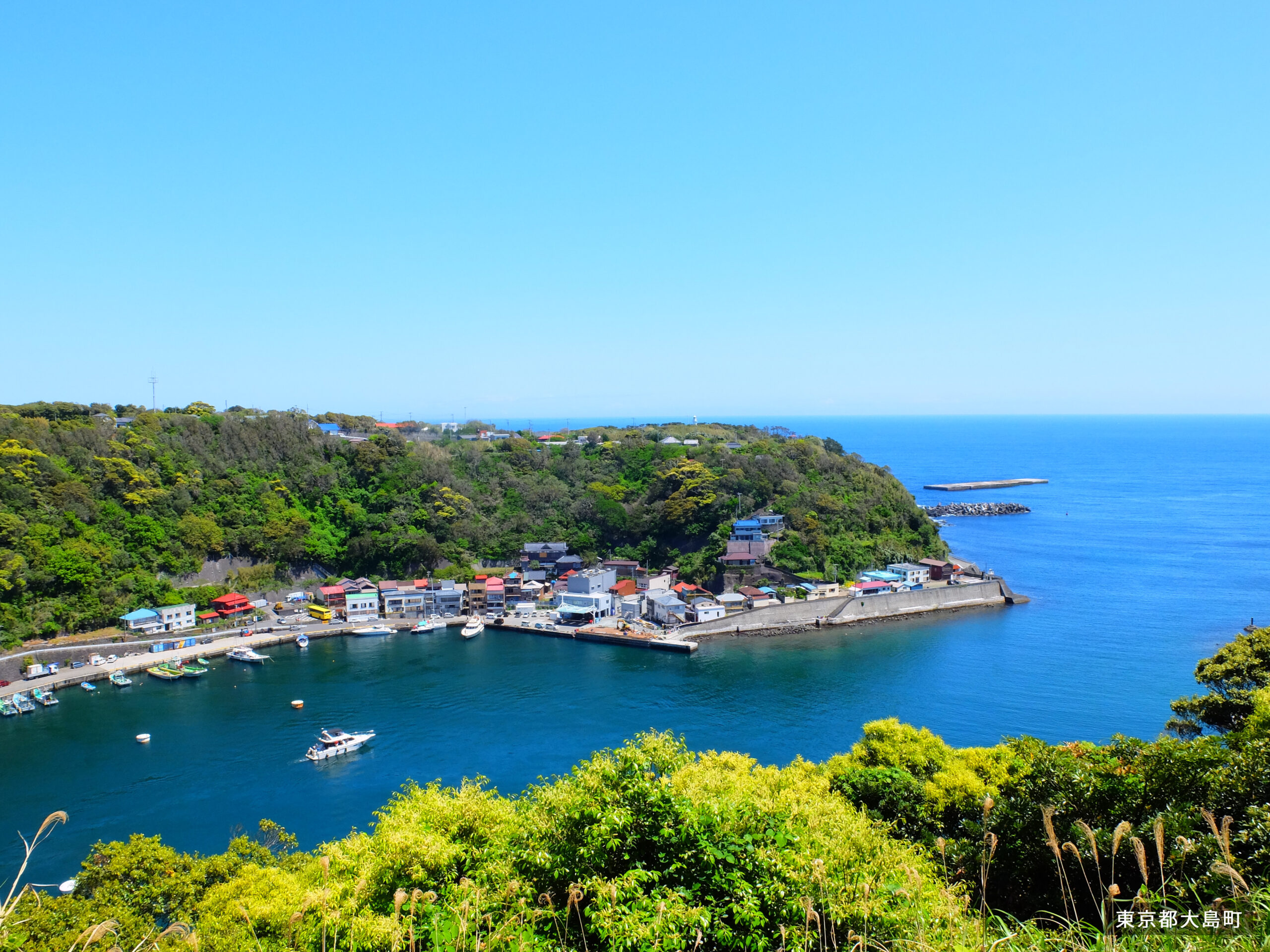 Habu Port and port town on Izu Oshima seen from above