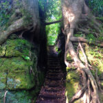 Senzu cut-through scenery on Izu Oshima