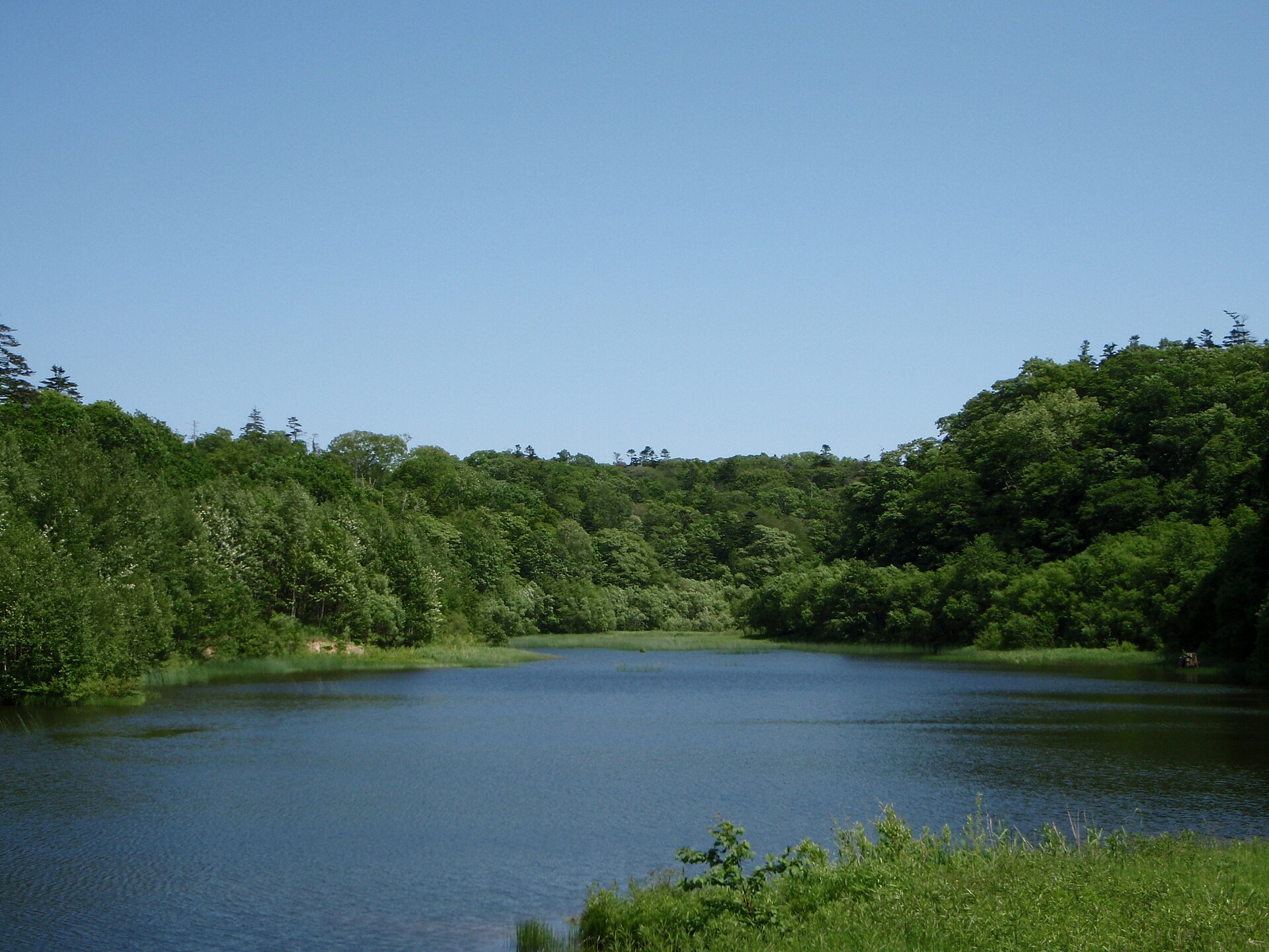 野幌森林公園の瑞穂池