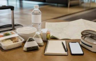 Backup meal planning for Japan travel routes