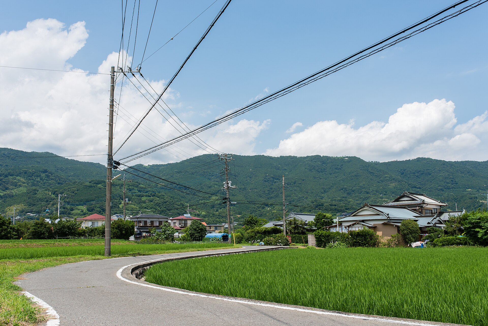 開成町の田園風景