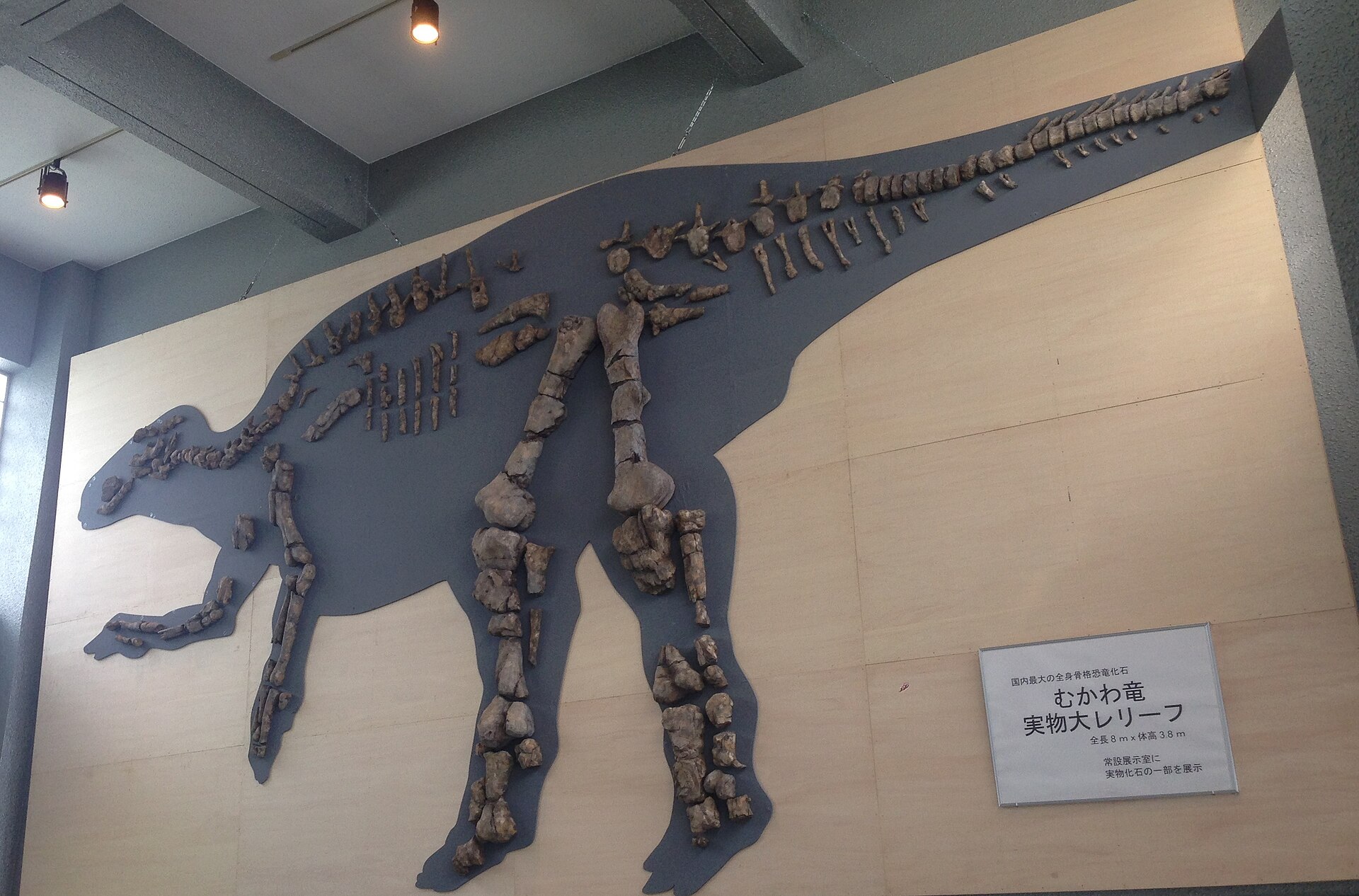 むかわ町のメインビジュアルイメージ