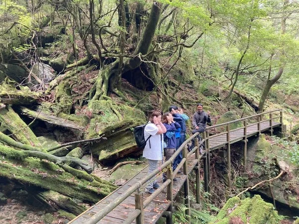 屋久島の自然イメージ