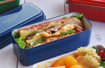 エクラルテ 2WAYスマートロックランチ2段