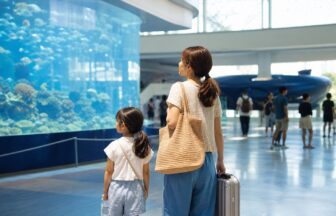 夏休み旅行で暑い日に水族館などの屋内観光へ切り替える親子
