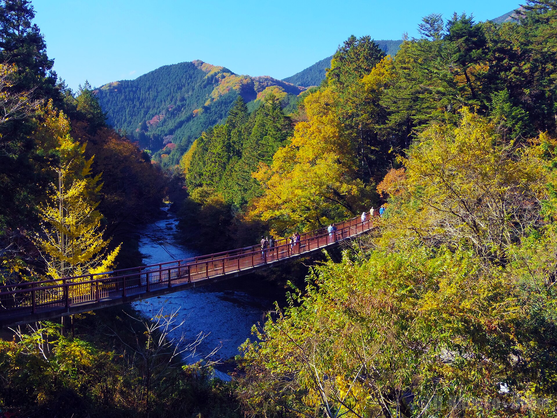 あきる野市の秋川と石舟橋を望む秋の渓谷風景