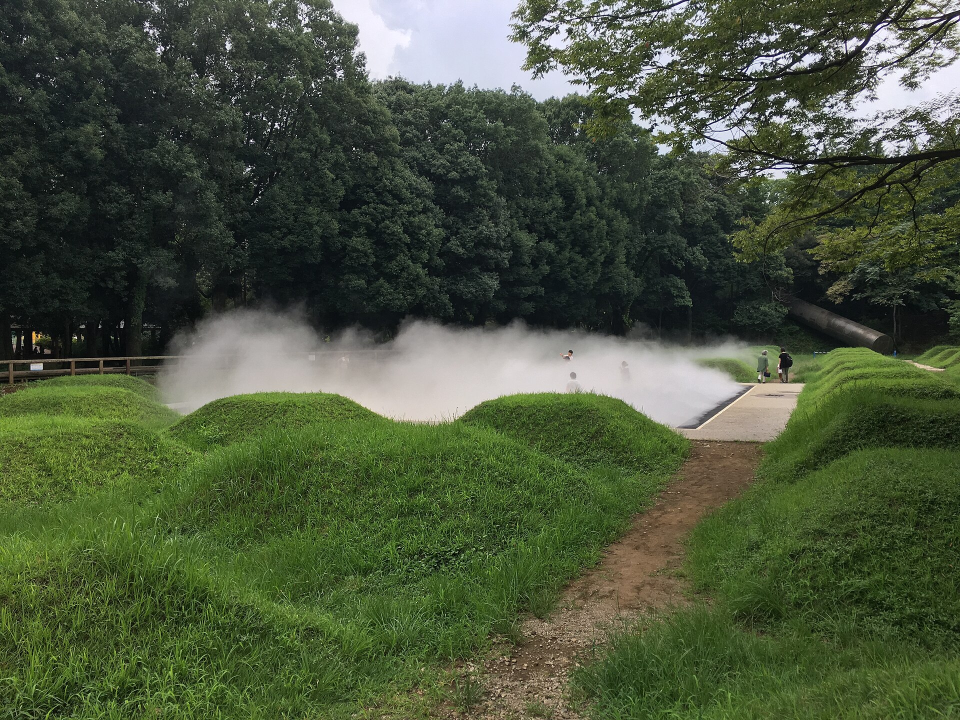 昭島市側の昭和記念公園で霧が立つ森の景色