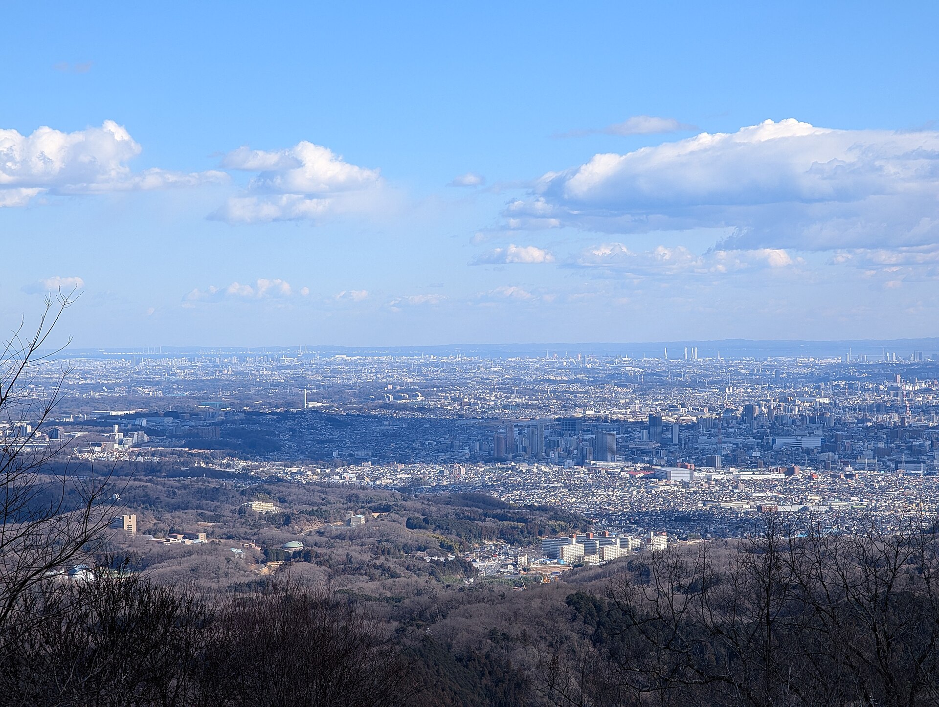 八王子市の高尾山から東京方面を望む景色