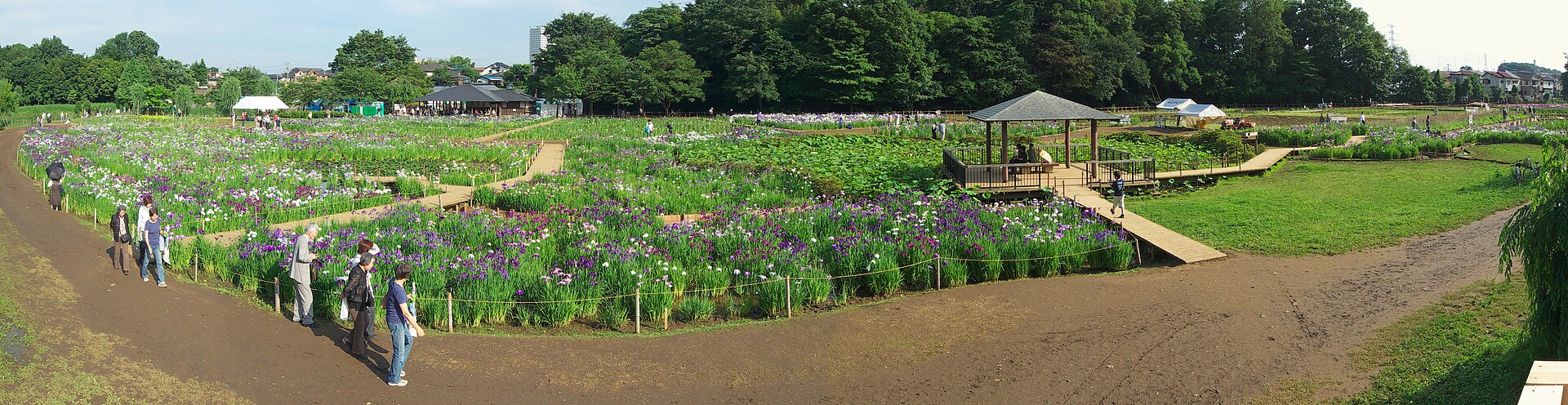 東村山市の北山公園を広く見渡す風景