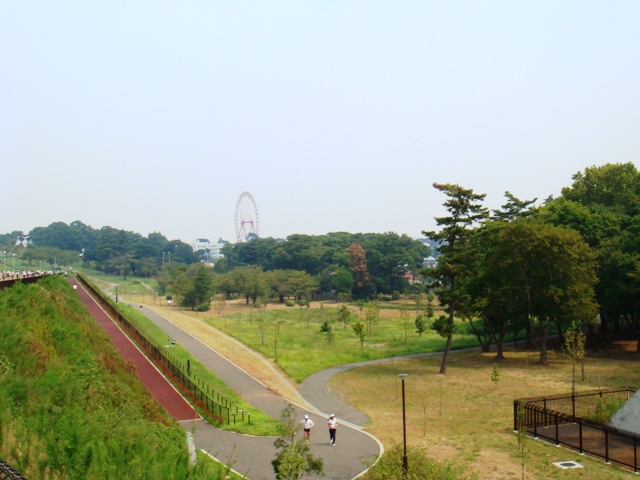 東大和市の狭山公園の緑と散策路