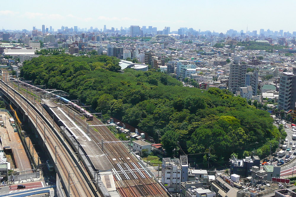 北区の飛鳥山公園の景色