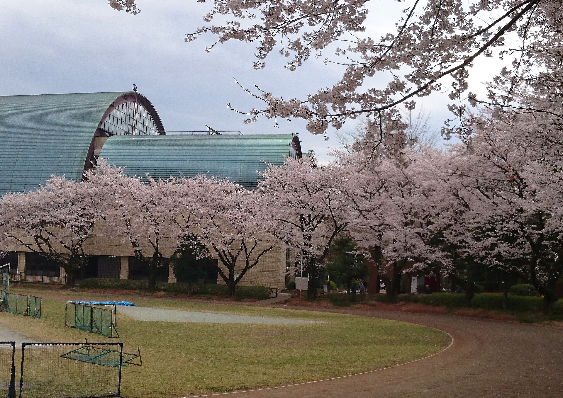 小平市の小平中央公園の広場と緑