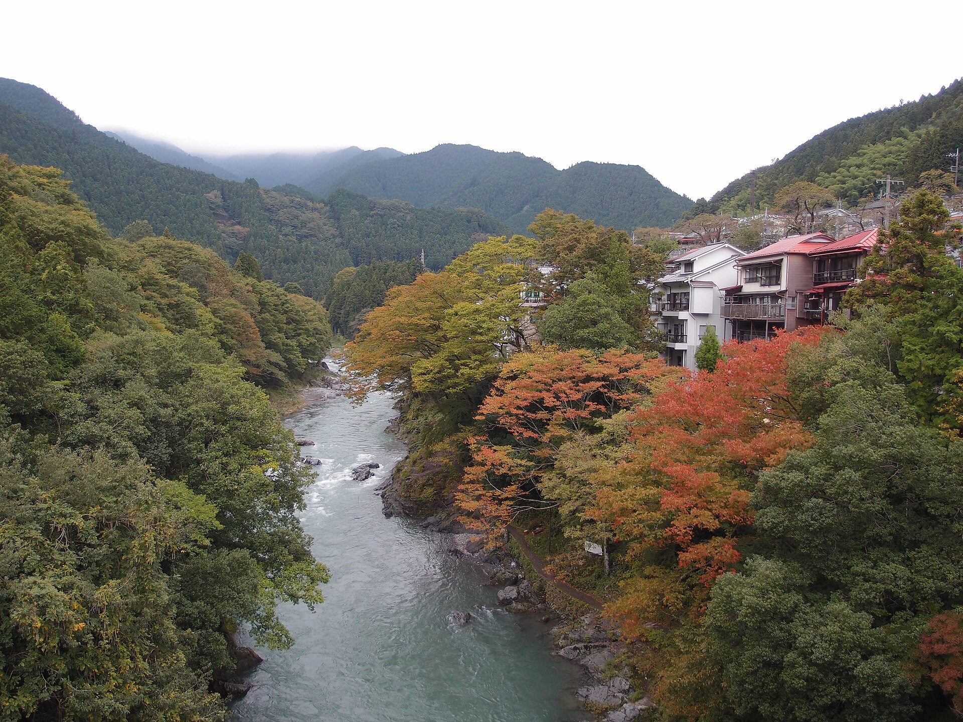 青梅市の御岳渓谷を流れる多摩川と緑の景色
