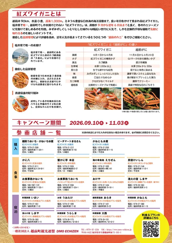 紅ズワイガニの特徴と協賛店舗一覧を掲載した案内チラシ