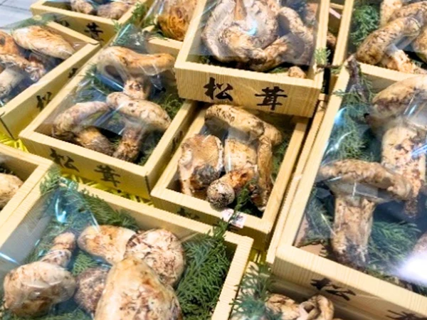 売り場に並ぶ松茸（昨年の様子）