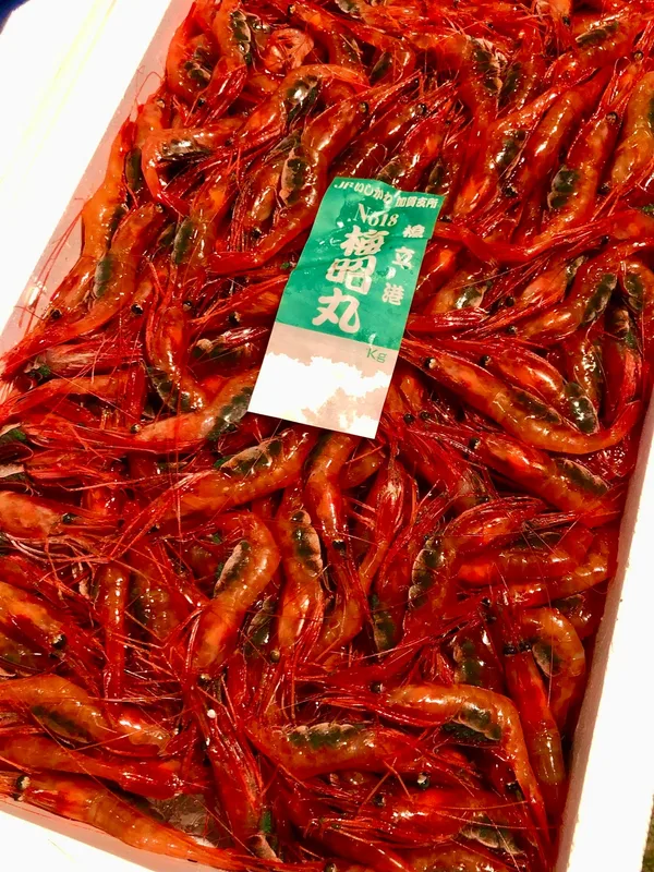 橋立漁港で水揚げされた赤い魚介