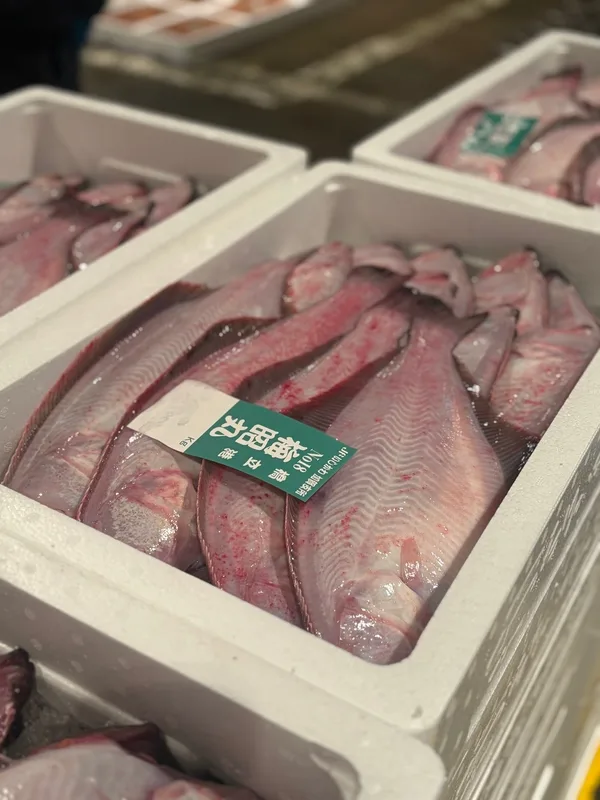 魚箱に並ぶ橋立漁港の魚