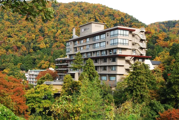 紅葉した山の斜面を背にした多層階の宿の外観