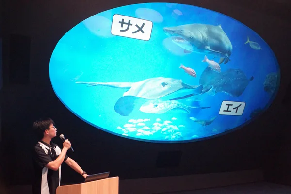 神戸須磨シーワールド 生きものスマシースクールのレクチャー