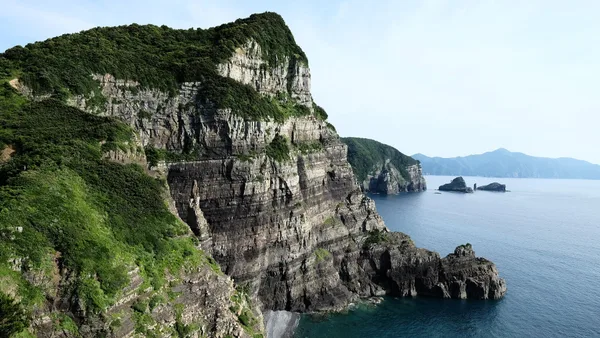 甑島の鹿島断崖に見える地層