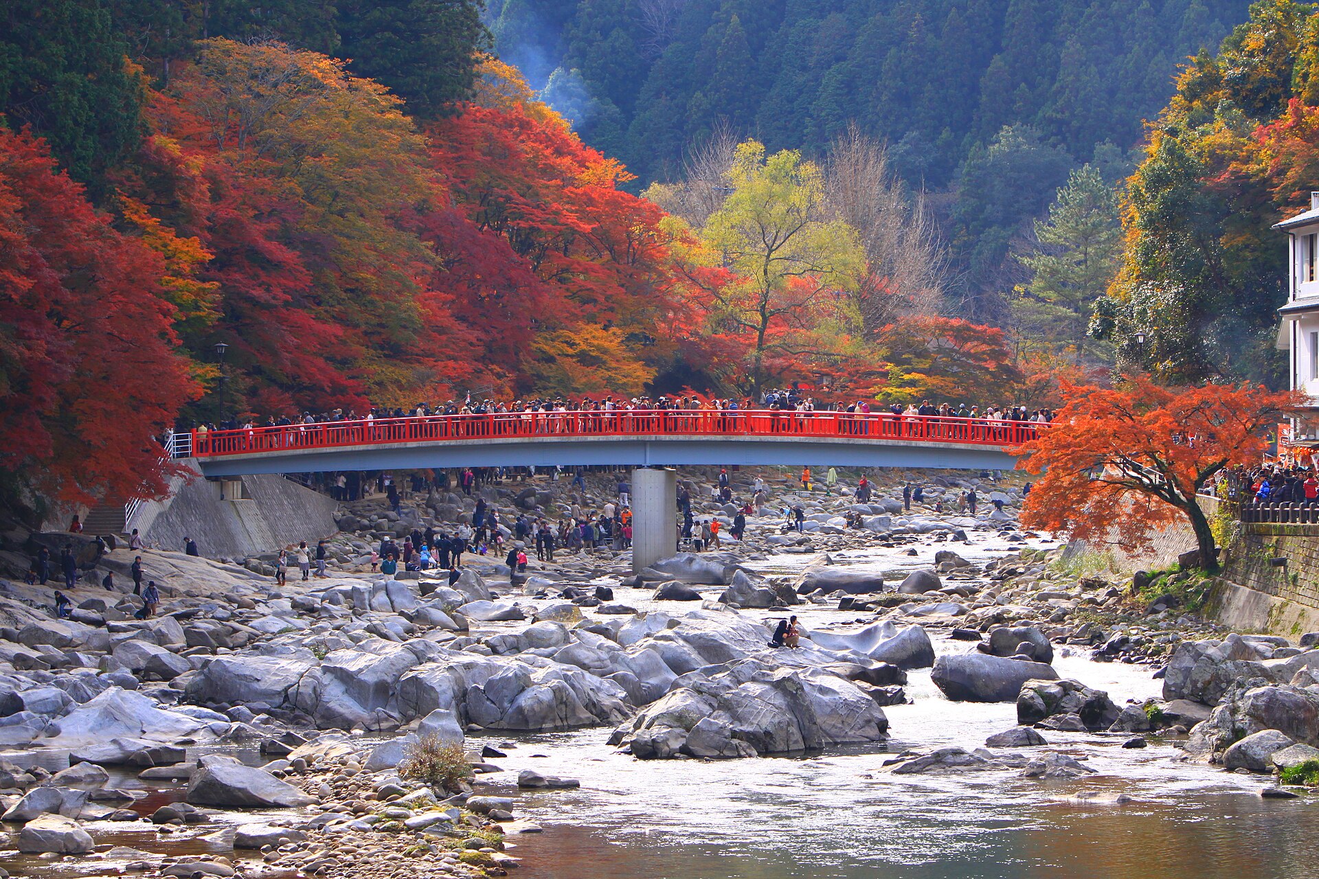 香嵐渓の待月橋と紅葉。巴川の河原から橋と色づいたもみじを見上げた様子