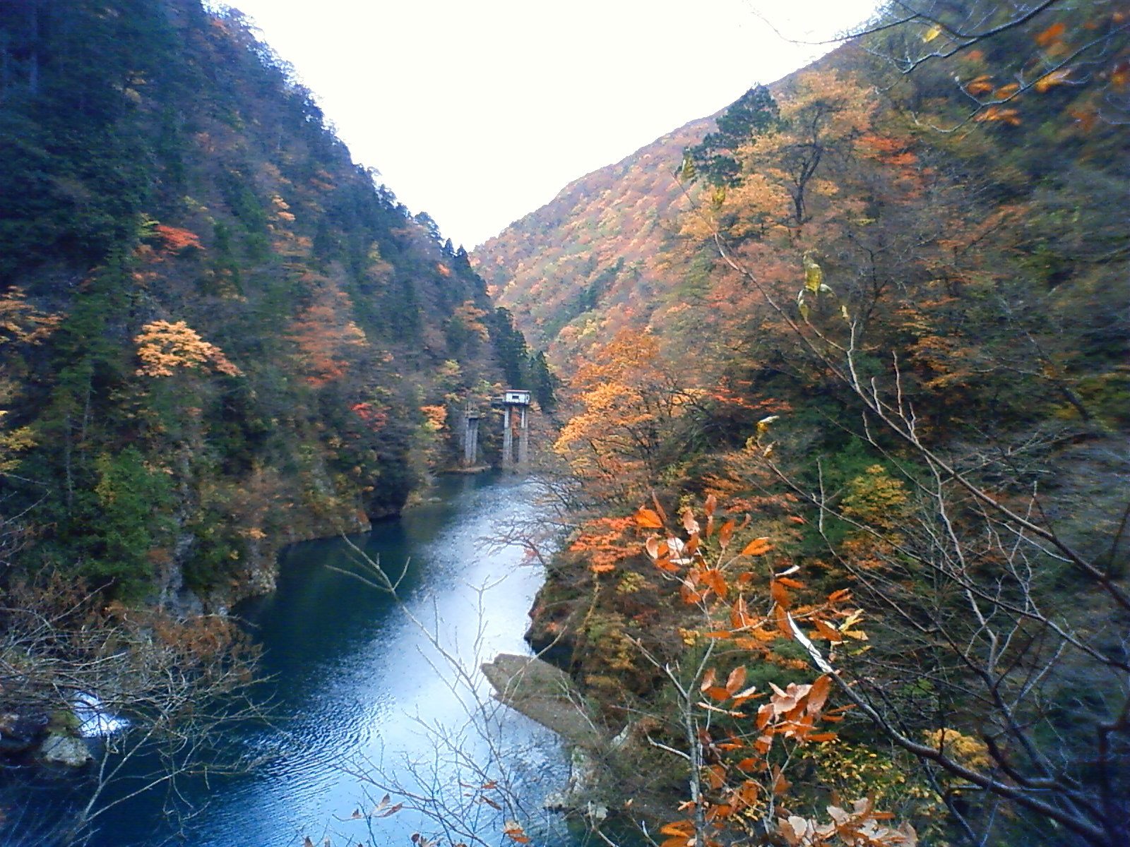 抱返り渓谷の紅葉。青い川の両岸の山が色づき、奥に赤い橋が見える