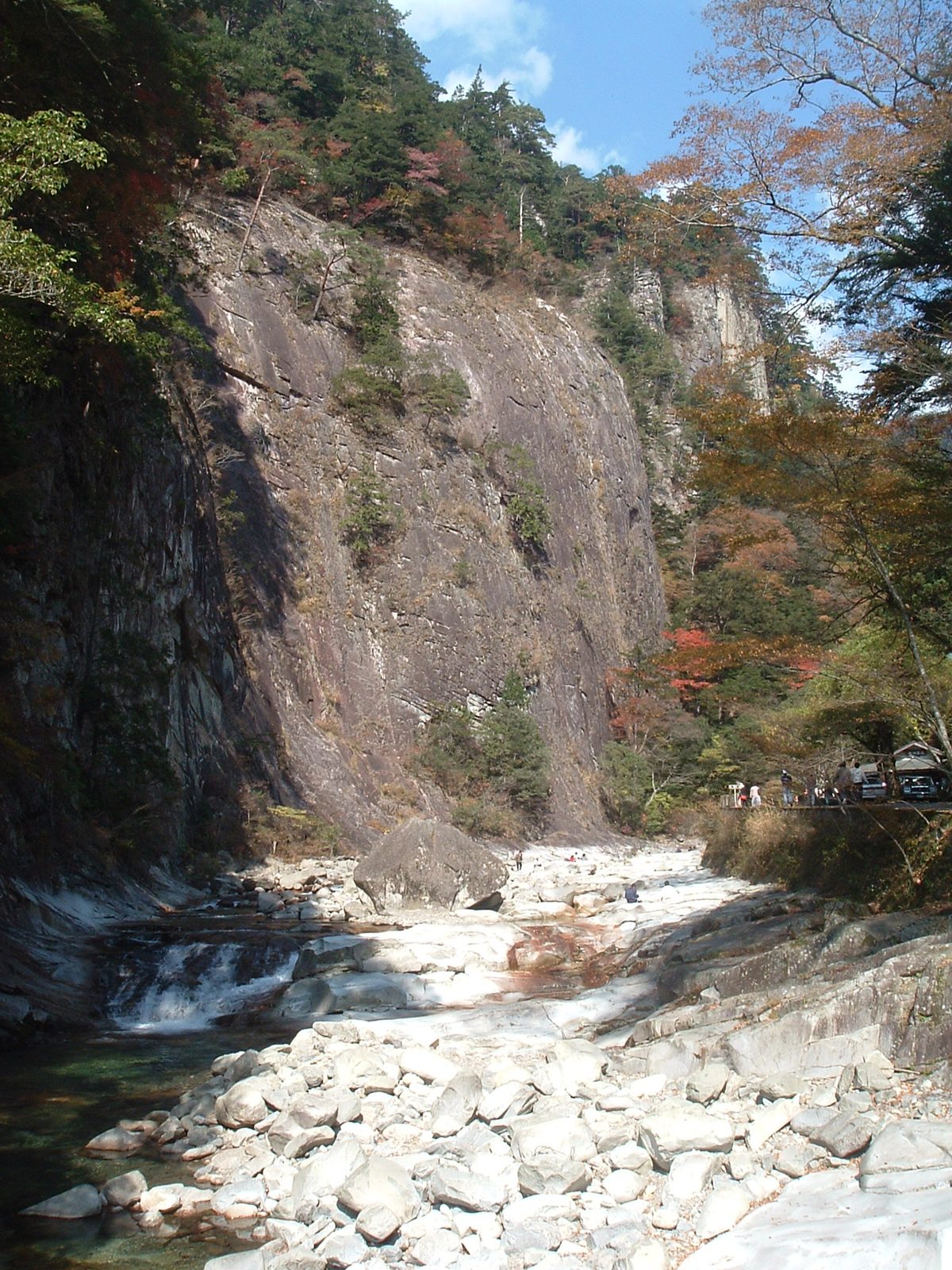 面河渓の岩壁と渓流。岩の上の木々が色づいている