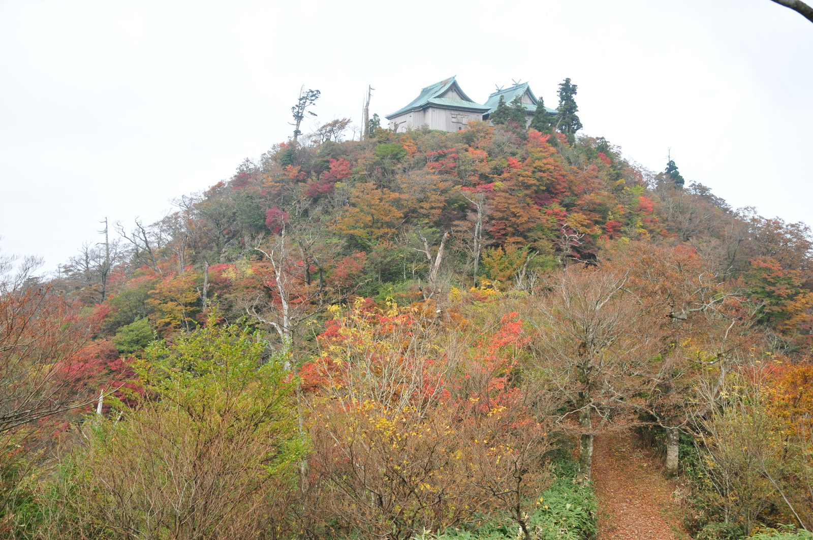 英彦山の山頂付近。斜面の木々が赤や橙に色づき、上に神社の建物が見える