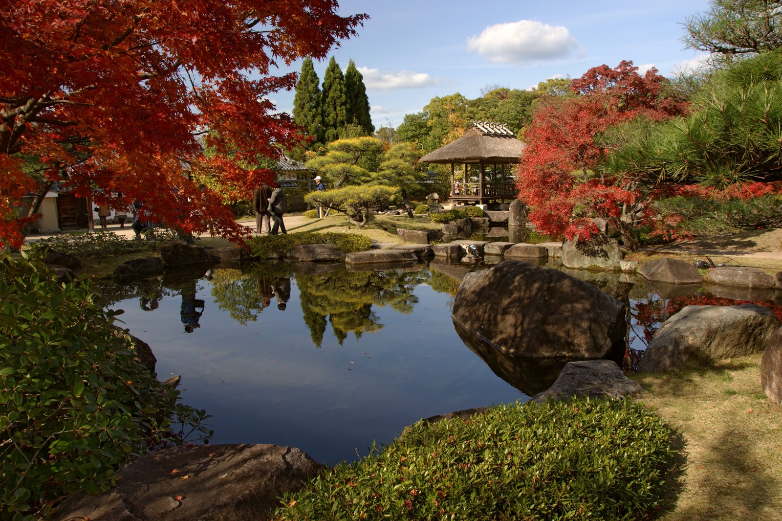 好古園の池泉と、池の周りで赤く色づいたモミジ