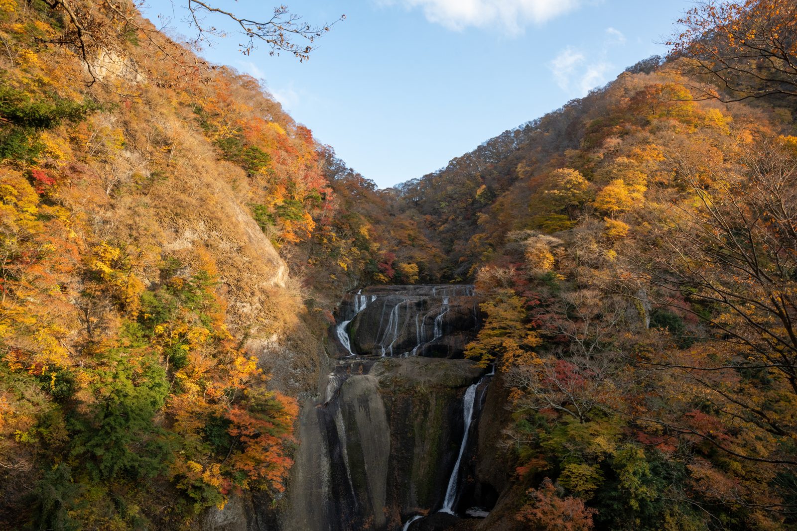 袋田の滝と紅葉。四段に落ちる大きな滝の両側の山が橙や黄色に色づく