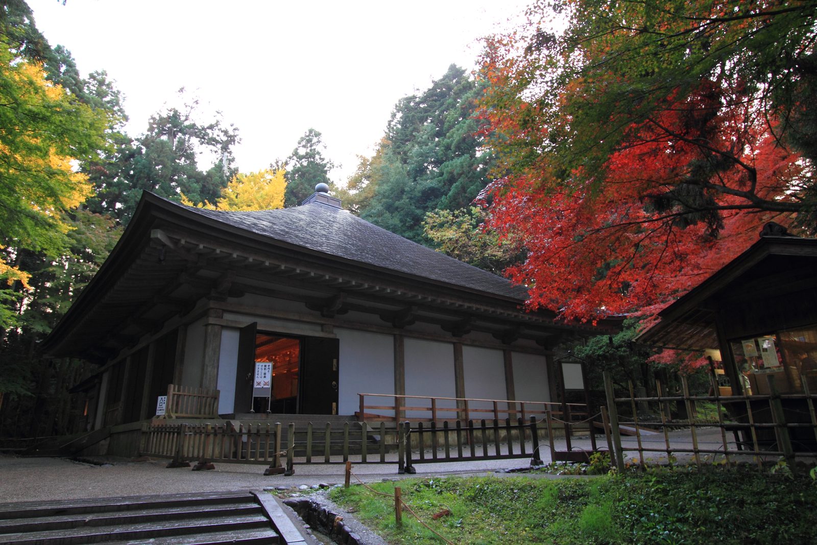中尊寺の境内。お堂の横でモミジが赤く色づいている