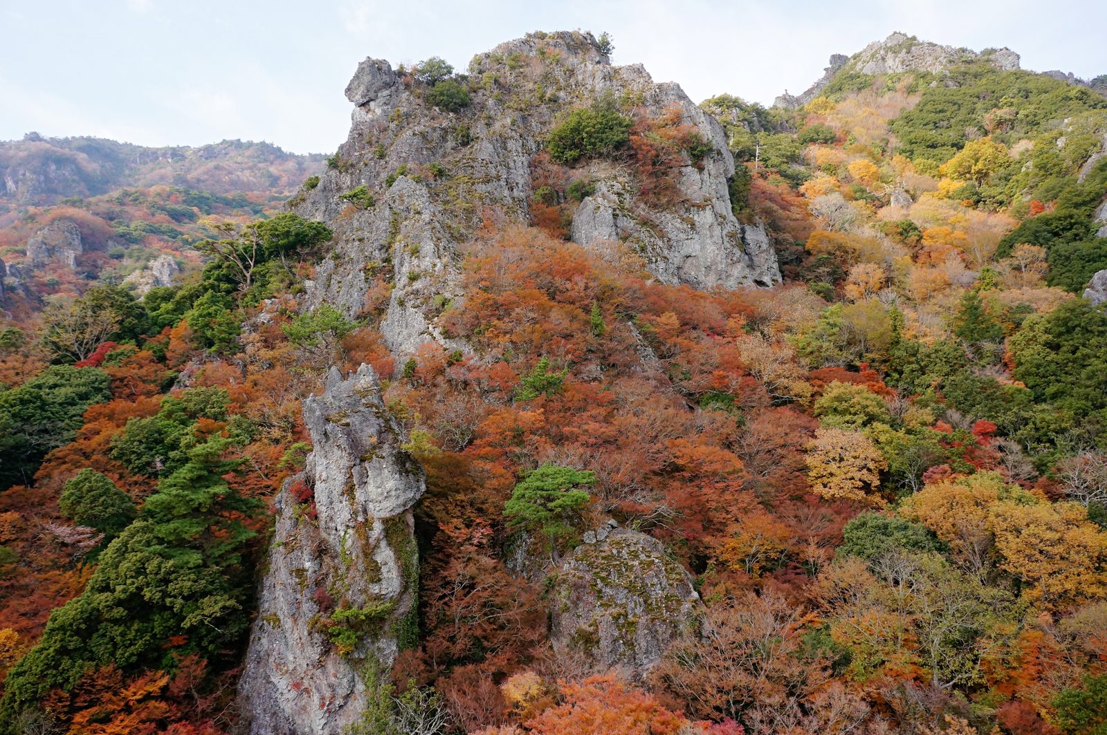 寒霞渓の奇岩と、岩山を覆う赤や橙の紅葉