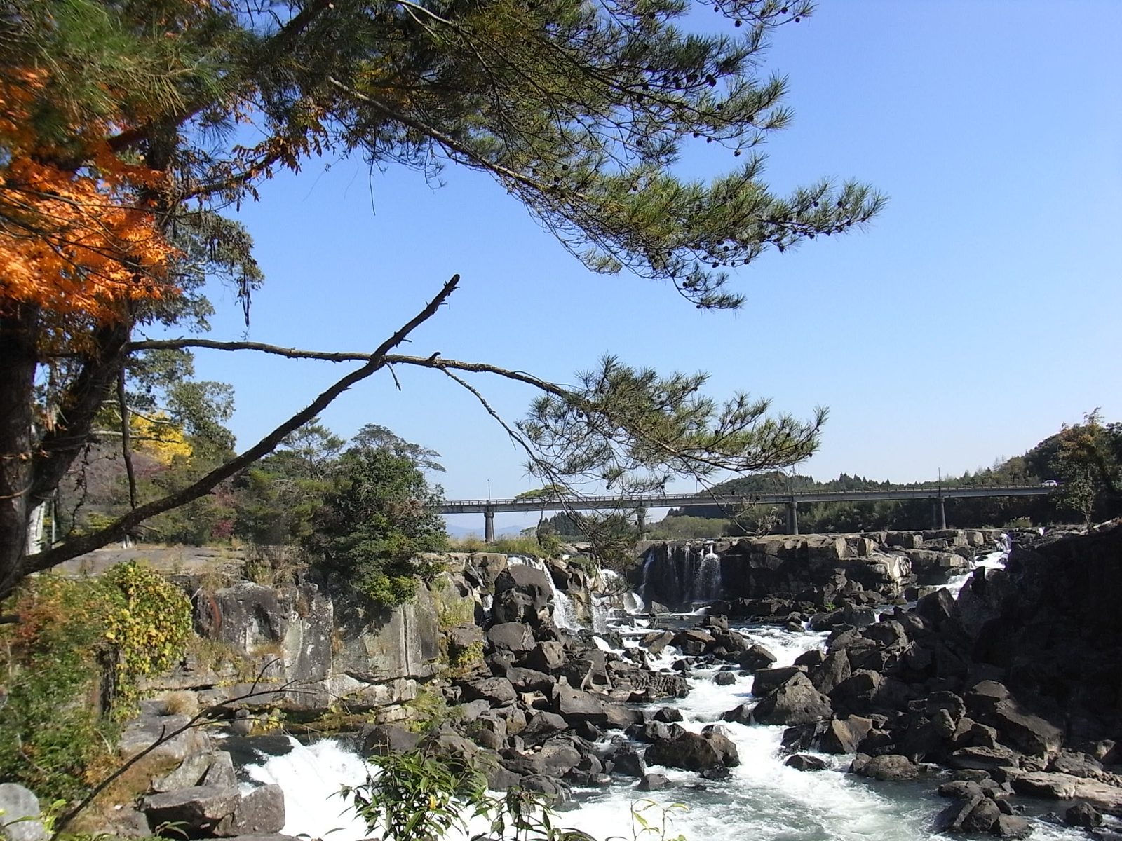 曽木の滝。幅の広い滝の周りの木々が色づいている