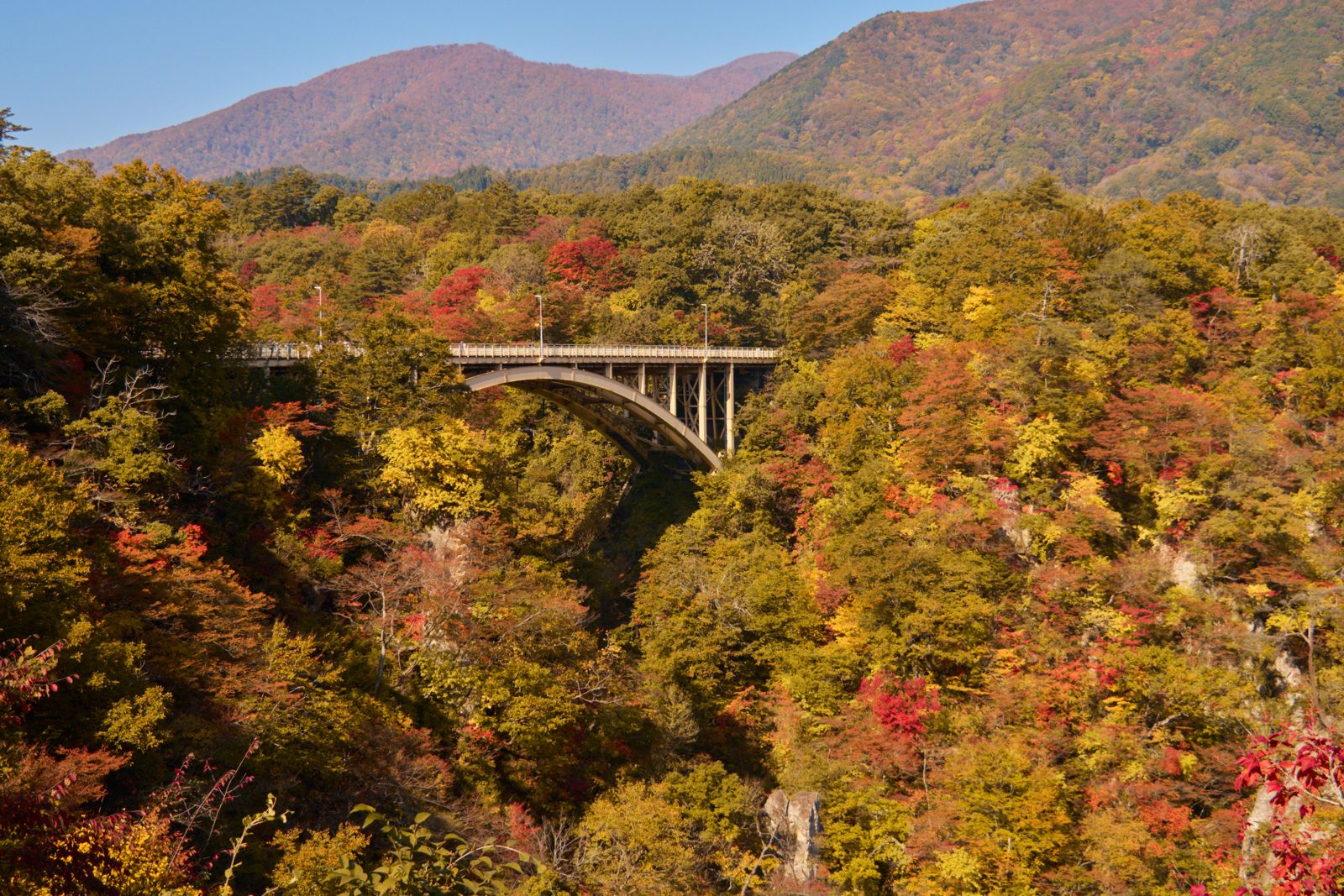 鳴子峡の紅葉。色づいた渓谷の上に大深沢橋がかかる