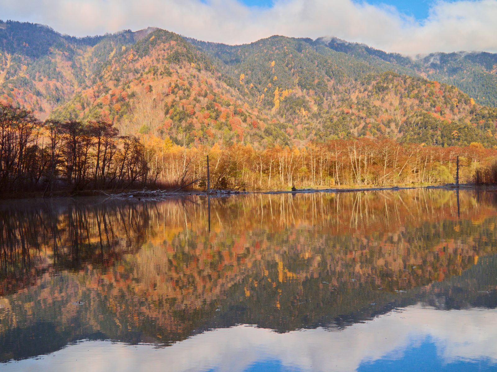 上高地の大正池。水面に紅葉した山と木々が映り込む