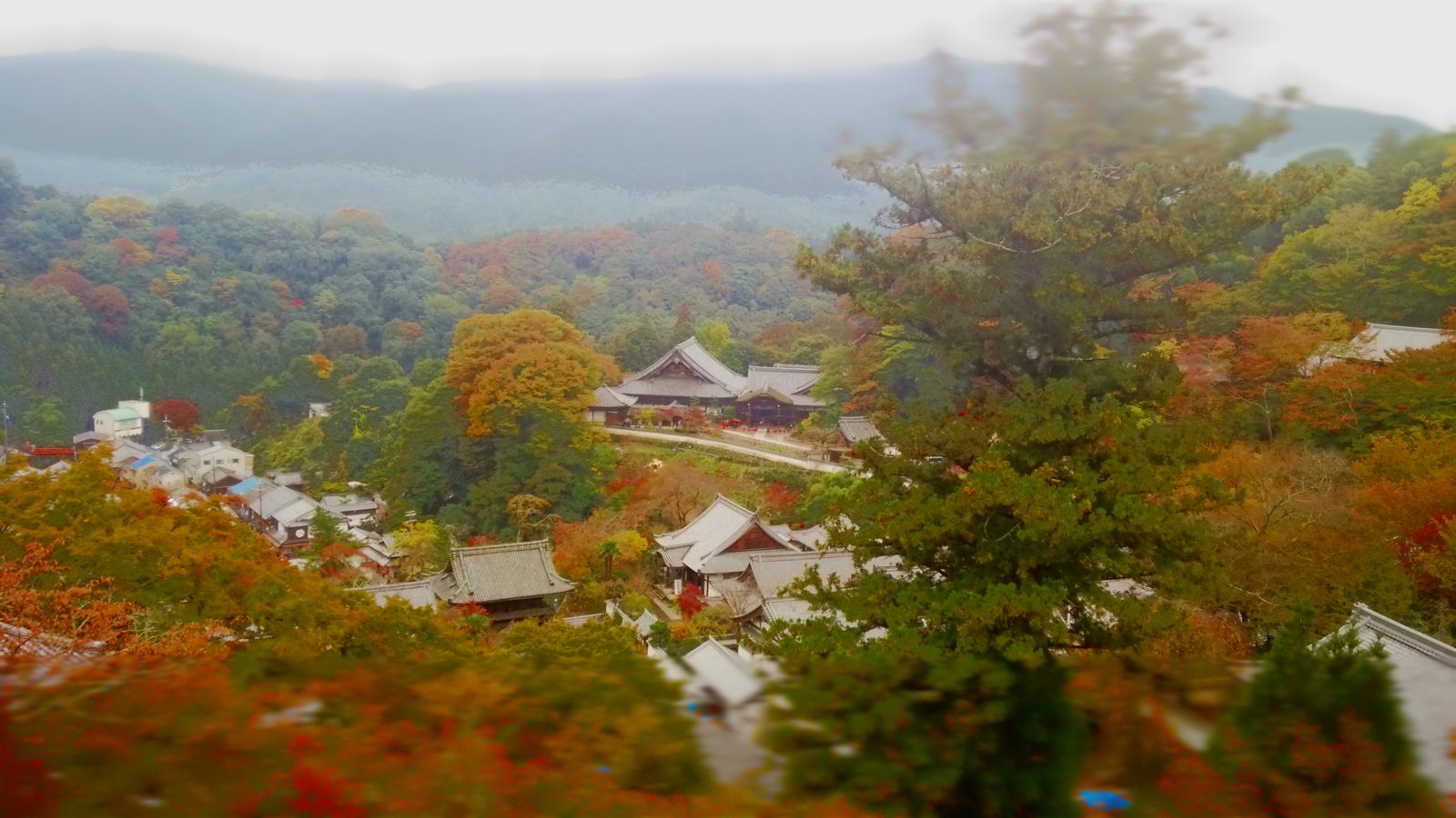 長谷寺の本堂付近から見下ろした境内と門前町。山の斜面が紅葉で色づいている