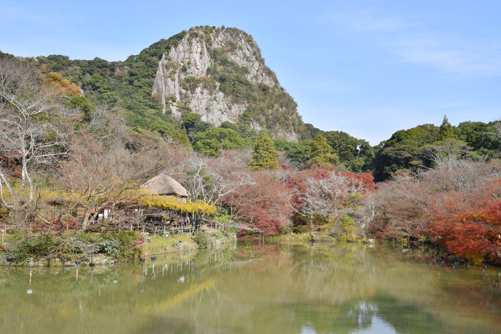 御船山楽園の紅葉。御船山の岩壁を背景に、庭園の木々が赤や黄色に色づく