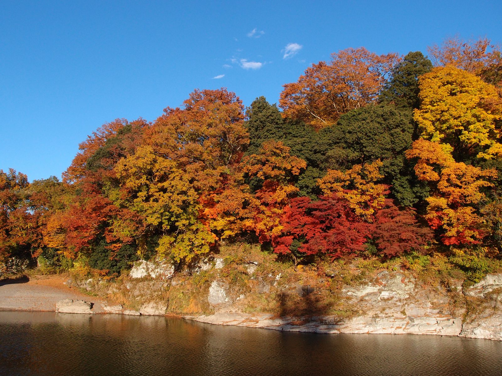 長瀞の荒川沿いの紅葉。岩畳の対岸の森が赤や黄色に色づき、川面に映る
