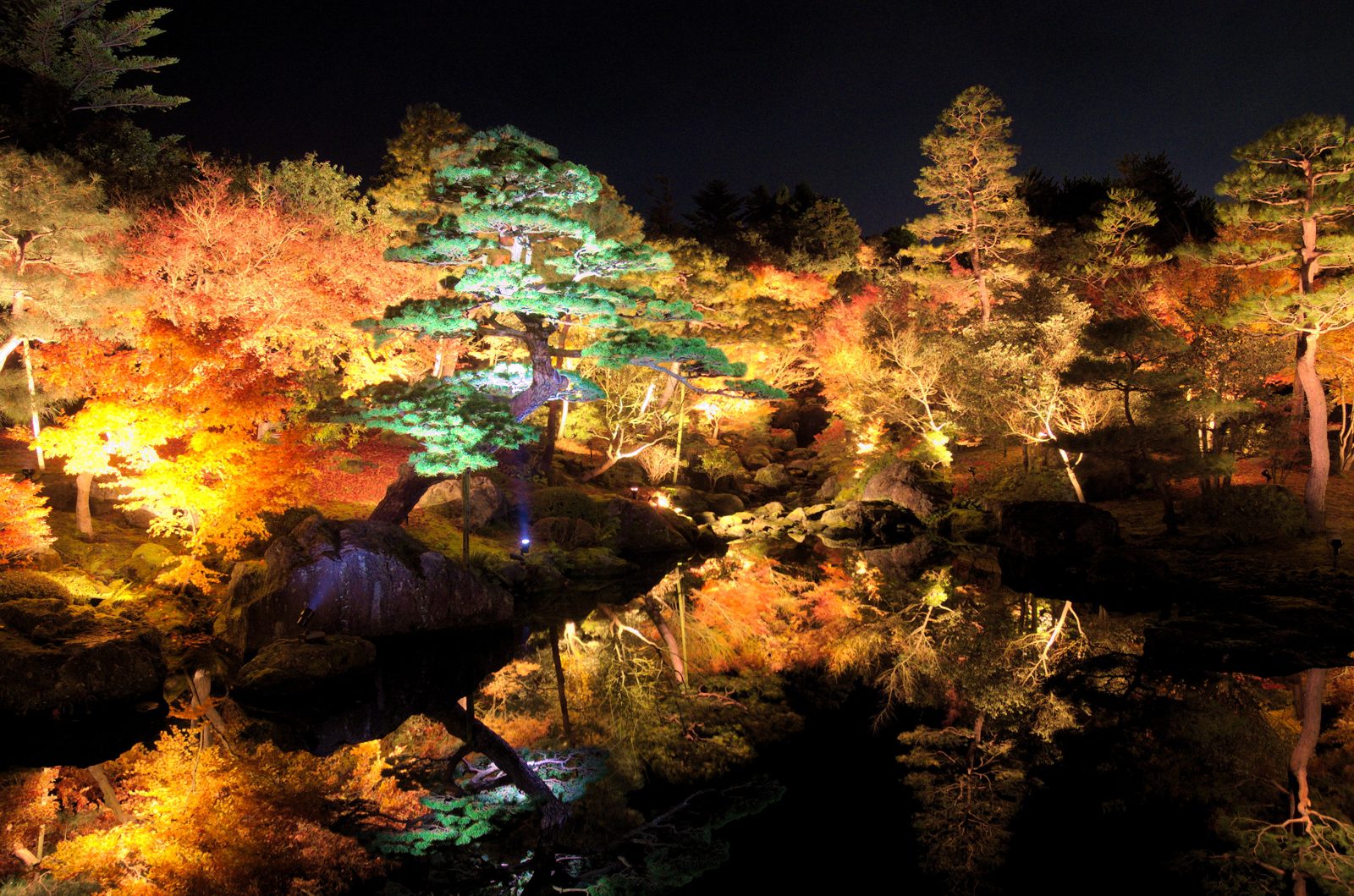 夜の由志園。照らされた紅葉と松が池の水面に映り込む