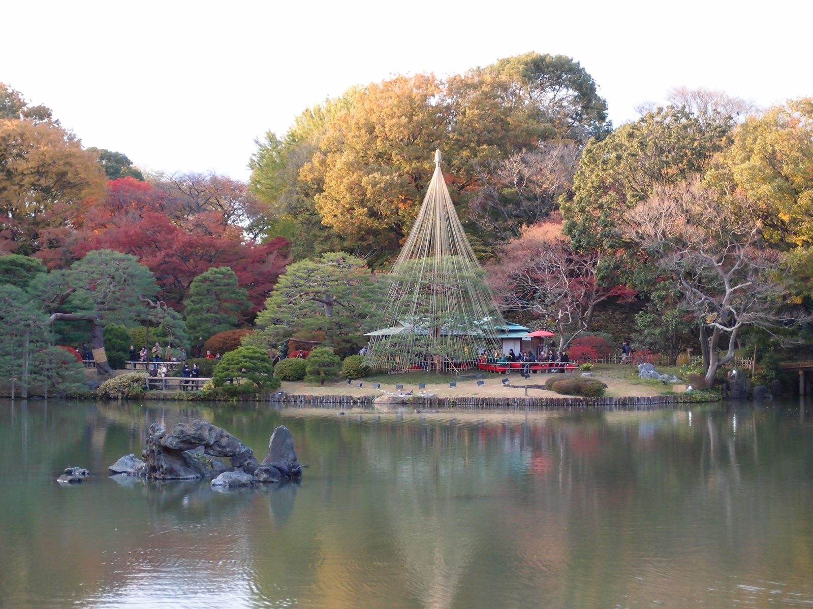 六義園の池と雪吊りの松。池の周りの木々が赤や黄色に色づく